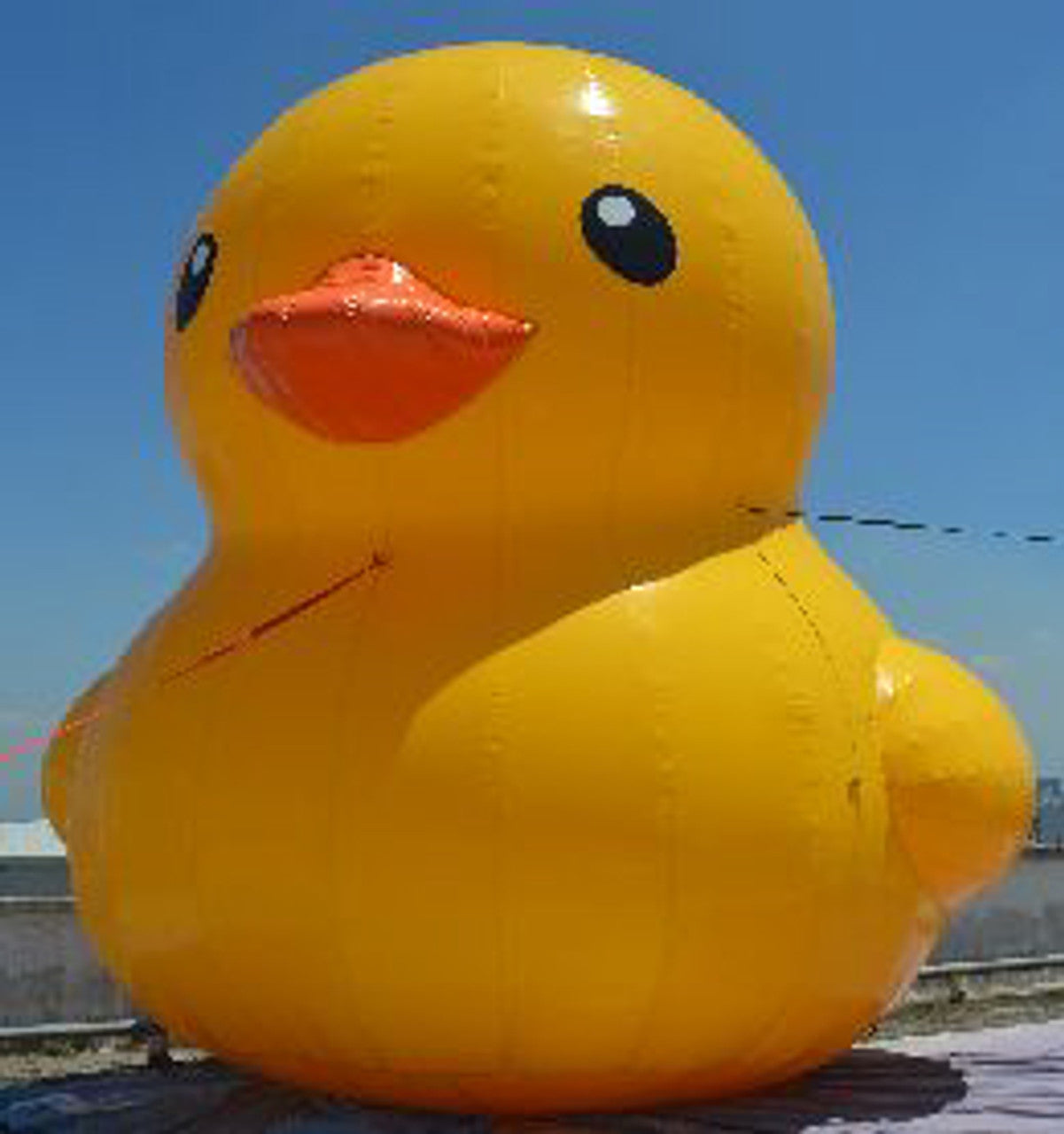 20ft Inflatable Duck Balloon
